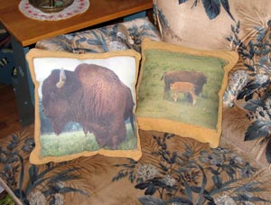 Buffalo cushions