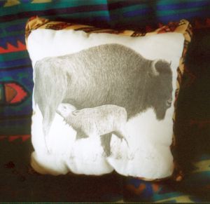 Buffalo cushion