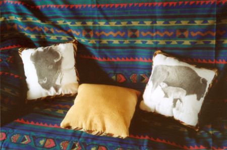 Buffalo Cushions